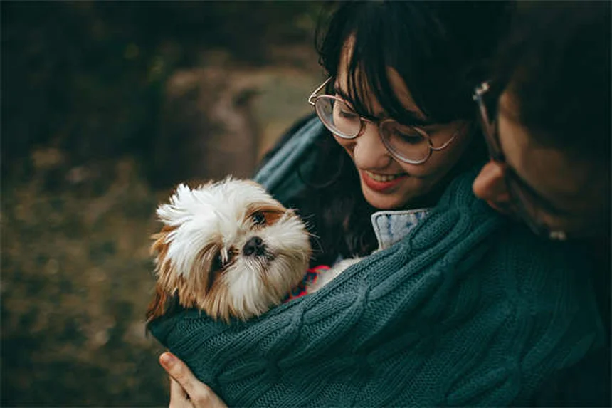 犬の耳の感染症：かかりやすい犬種と正しい予防・治療法